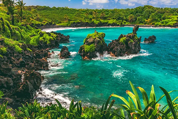 Black lava rock sea stacks sit in turquoise water just beyond the black sand beach of Waiʻanapanapa State Park in Hana on the island of Maui, Hawaii, United States.