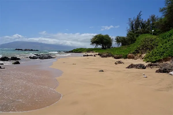 Beach with tide and jungle vegetation. 