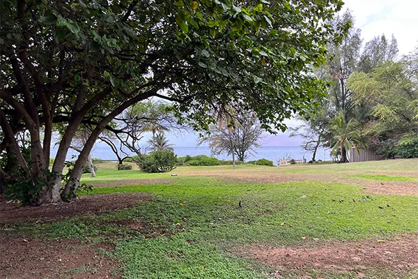 The park at Kamaole Beach Park 3. 