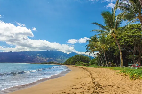 Beach near Kihei surfside. 