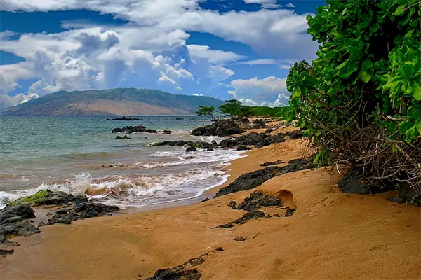 Beach with rocks and sand vegetation. 