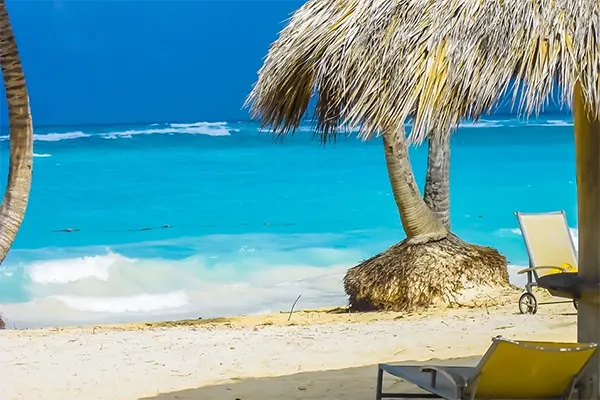 Beach with palm cabana and beach chairs