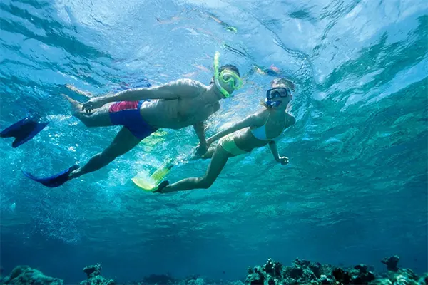 Two snorkelers holding hands and swimming over coral. 