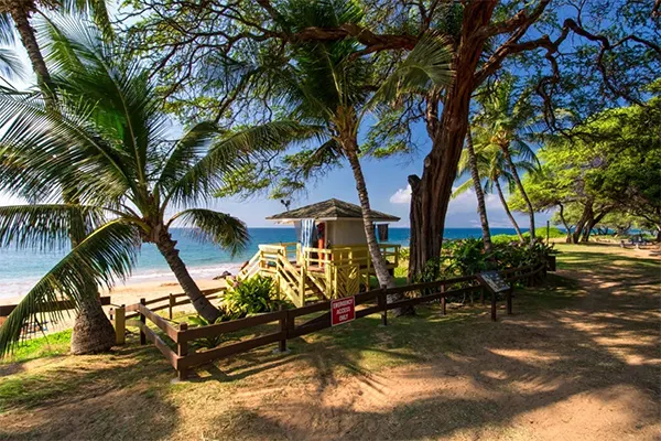 Picture of lifeguard tower and palm trees at Kamaole Beach Park 3. 