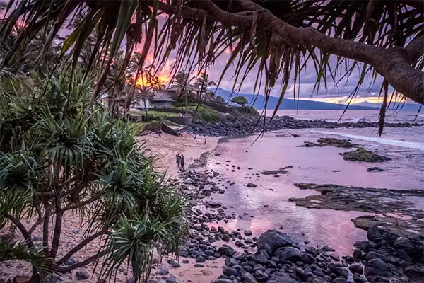 A beach in Wailea seen through palm trees at sunset. 