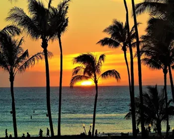 Sunset over the ocean through palm trees.
