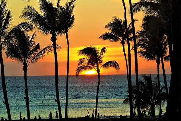 Sunset over the ocean through palm trees. 