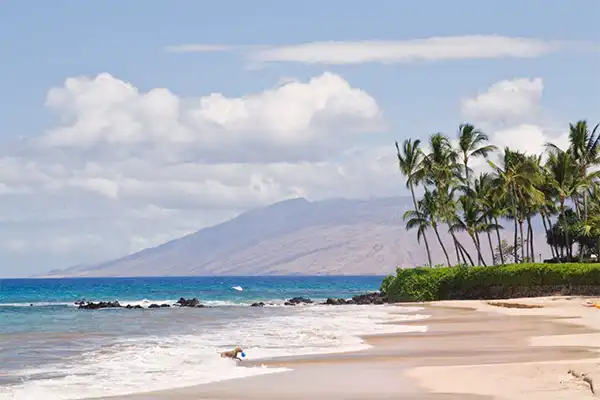 Palauea Beach with palm trees and a gentle tide in Maui, Hawaii. 