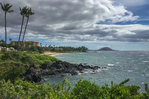 Polo Beach as seen from afar with palms trees and green vegetation. 