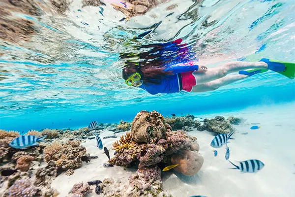 Person snorkeling at Ulua Bay over coral and colorful fish.