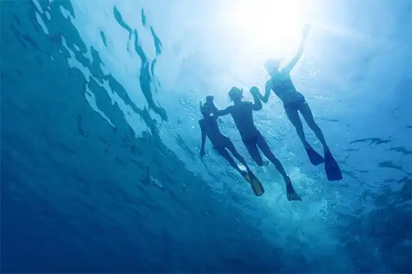 Three people snorkeling underwater. 