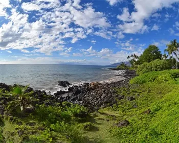 Green vegetation and a rocky shore in Maui.