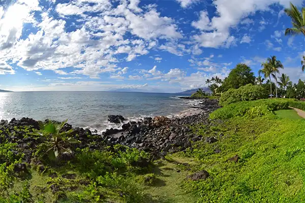 Green vegetation and a rocky shore in Maui. 