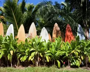 The surfboard fence in Maui.