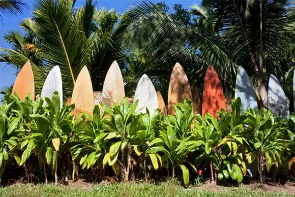 The surfboard fence in Maui.