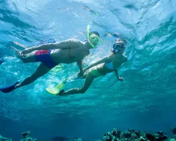 A man and woman snorkeling above coral reef, underwater.