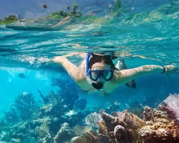 Person snorkeling near a coral reef.