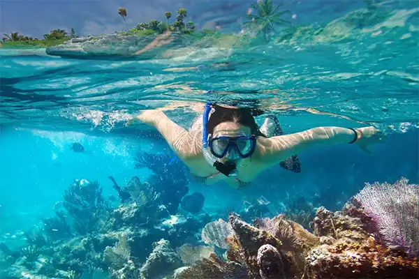 Person snorkeling near a coral reef.