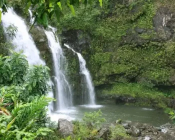 A waterfall in West Maui, in the jungle, lots of vegetation.