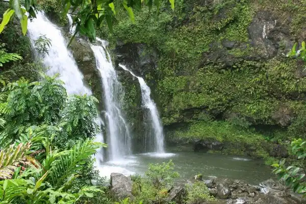A waterfall in West Maui, in the jungle, lots of vegetation. 