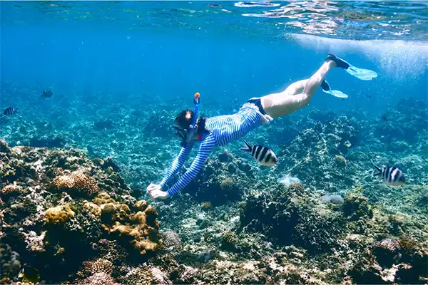 Woman snorkeling above coral reefs.  