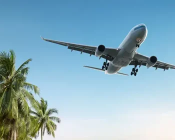 Airplane flying over palm trees.