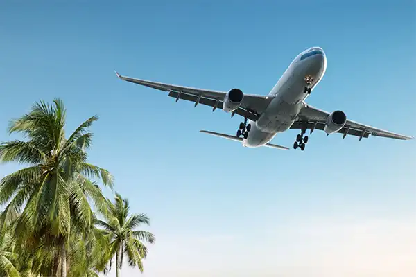 Airplane flying over palm trees. 