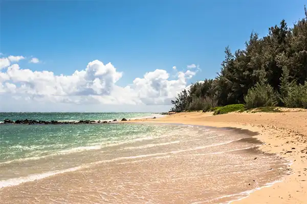 A beach in West Maui, an inlet with tree vegetation.  