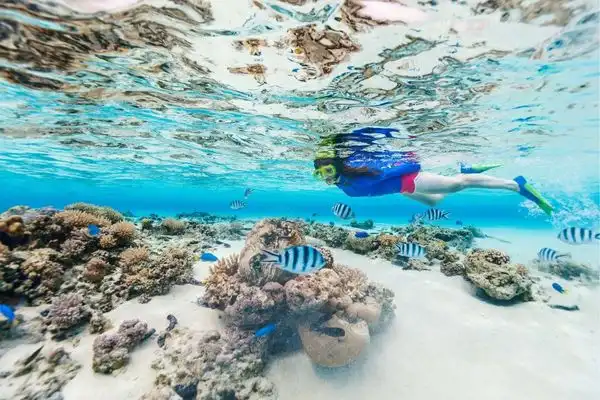 Person snorkeling underwater above coral reefs.