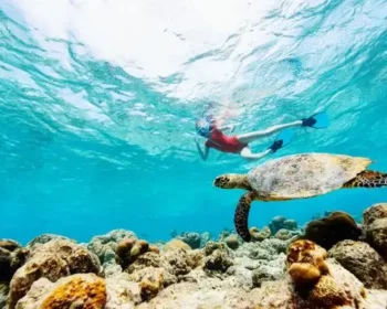 Woman snorkeling with a turtle above coral reefs.