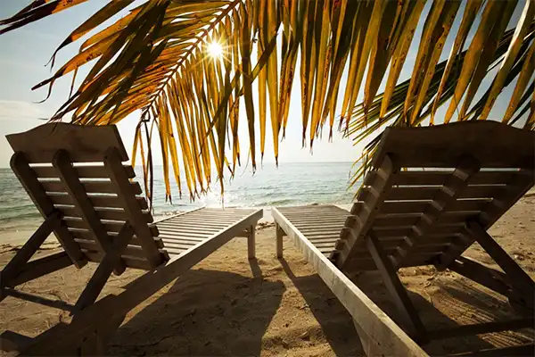 Two wooden beach chairs on the beach overlooking the ocean, underneath the palm.